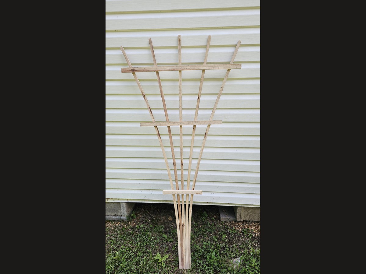 Arbor Fan 5-tine